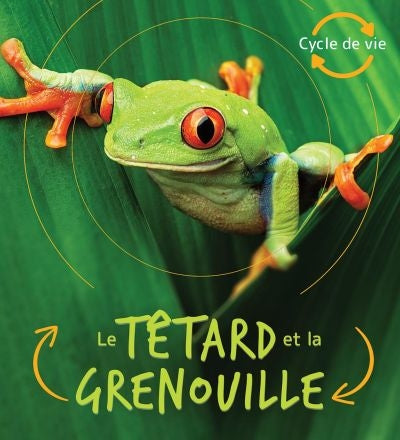 TETARD ET LA GRENOUILLE