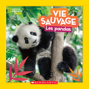 VIE SAUVAGE - LES PANDAS