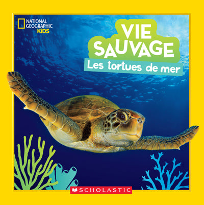 VIE SAUVAGE : LES TORTUES DE MER