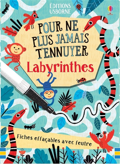 LABYRINTHES (FICHES EFFACABLES AVEC FEUTRE)