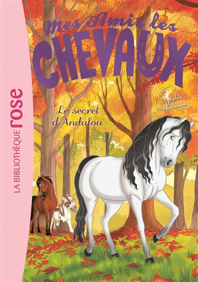 MES AMIS LES CHEVAUX T.19 SECRET D'ANDALOU