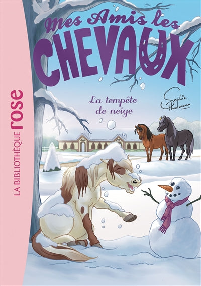 Mes amis les chevaux T.25 TEMPÊTE DE NEIGE