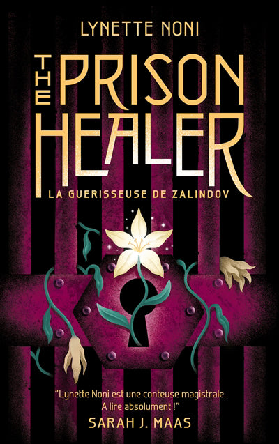 PRISON HEALER T01 -LA GUERISSEUSE DE ZALINDOV