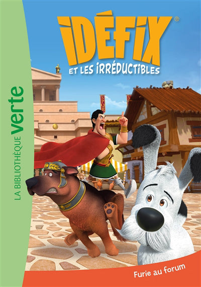 IDEFIX ET LES IRREDUCTIBLES T05