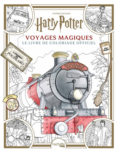 HARRY POTTER, VOYAGES MAGIQUES -LIVRE...