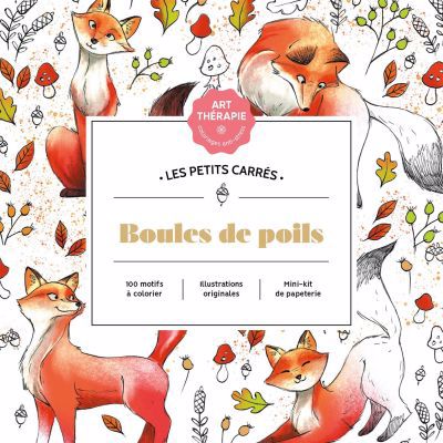 BOULES DE POILS -LES PETITS CARRES