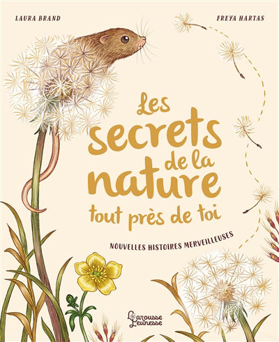 Secrets de la nature... tout près de toi