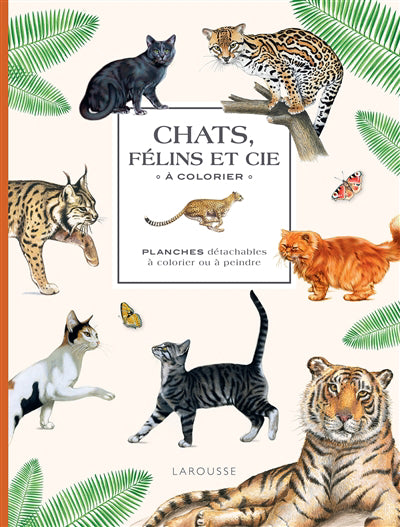 CHATS, FELINS ET CIE A COLORIER