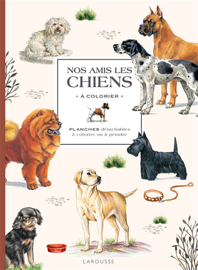 NOS AMIS LES CHIENS A COLORIER