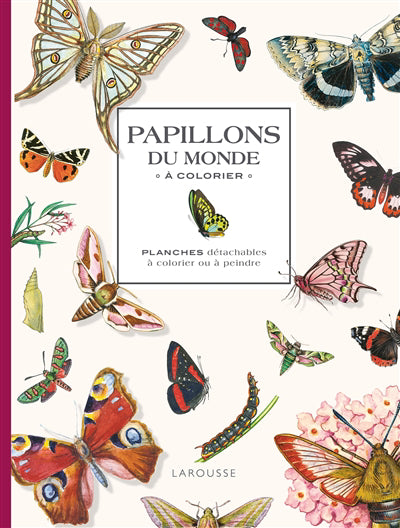 PAPILLONS DU MONDE A COLORIER