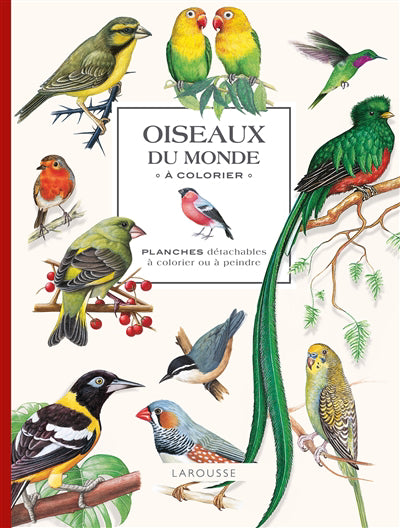 OISEAUX DU MONDE A COLORIER