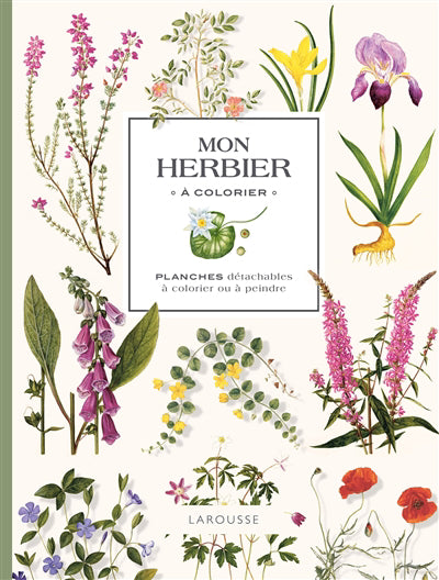 HERBIER A COLORIER