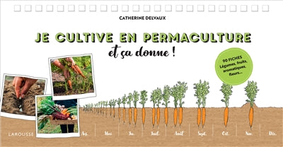 JE CULTIVE EN PERMACULTURE ET CA DONNE!