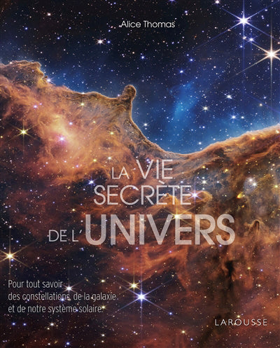 VIE SECRETE DE L'UNIVERS