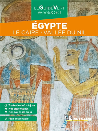 EGYPTE  LE CAIRE  VALLEE DU NIL  GUIDE VERT WEEK&GO N.E.