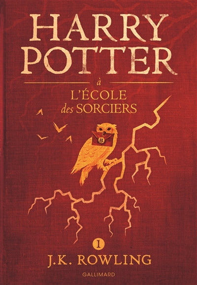 Harry Potter 1 école des sorciers