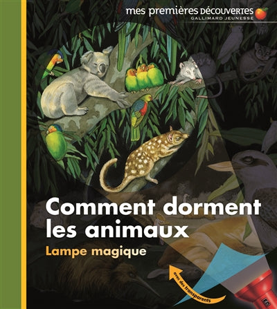 COMMENT DORMENT LES ANIMAUX ?