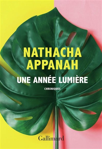 UNE ANNÉE LUMIÈRE