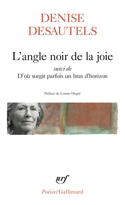 ANGLE NOIR DE LA JOIE SUIVI DE D'OU SURGIT PARFOIS UN BRAS D'HORI