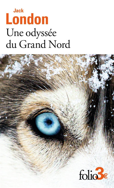 UNE ODYSSEE DU GRAND NORD - LE SILENCE BLANC