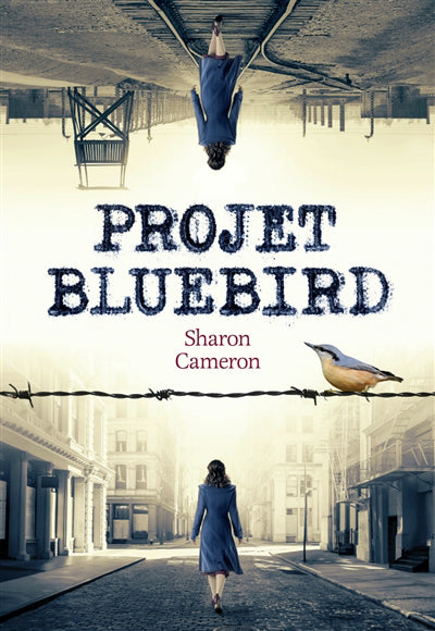 PROJET BLUEBIRD