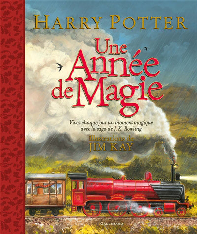 HARRY POTTER - UNE ANNEE DE MAGIE