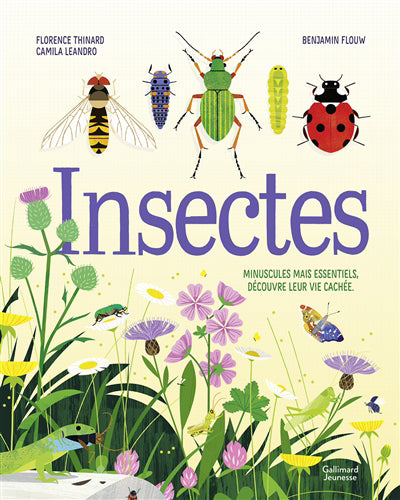 INSECTES