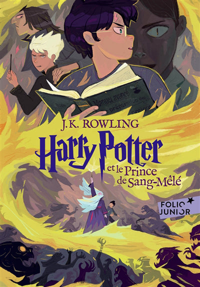 HARRY POTTER T.06 : HARRY POTTER ET LE PRINCE DE SANG-MELE N.E.