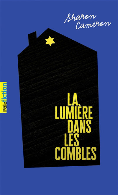 LUMIERE DANS LES COMBLES