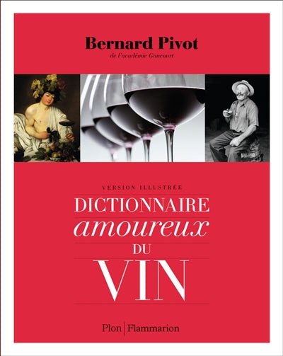 DICTIONNAIRE AMOUREUX DU VIN (COMPACT)