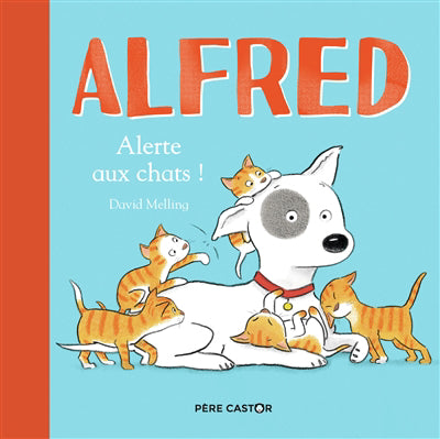 ALFRED : ALERTE AUX CHATS