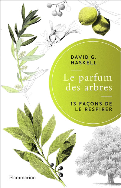 PARFUM DES ARBRES : 13 FACONS DE LE RESPIRER