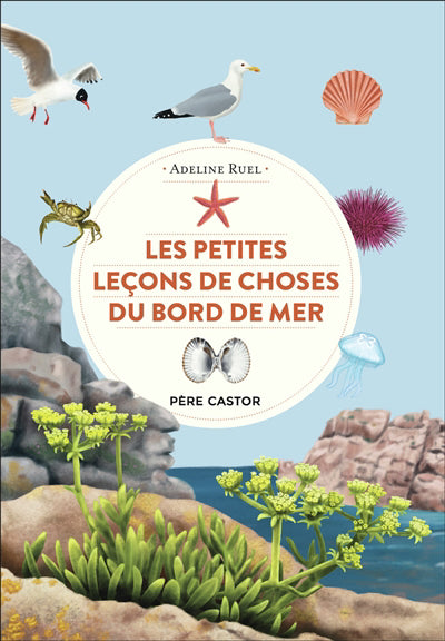 PETITES LECONS DE CHOSES DE LA MER