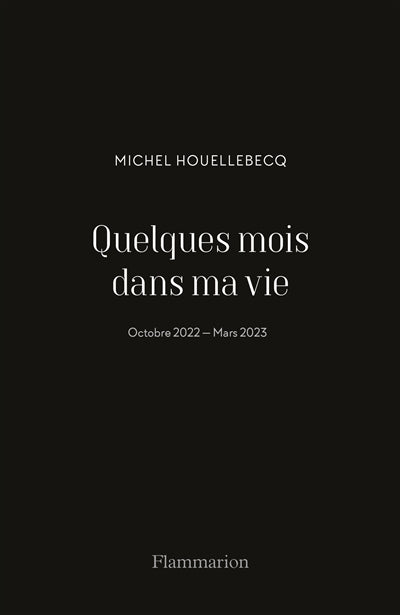 QUELQUES MOIS DANS MA VIE