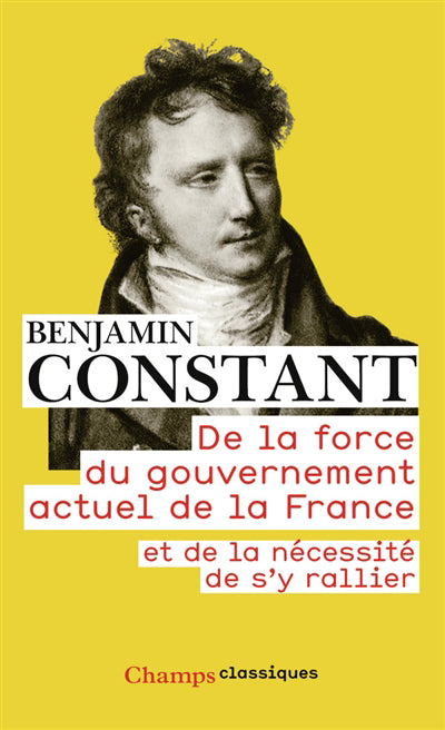 DE LA FORCE DU GOUVERNEMENT ACTUEL DE LA FRANCE ET DE LA NÉCESSIT