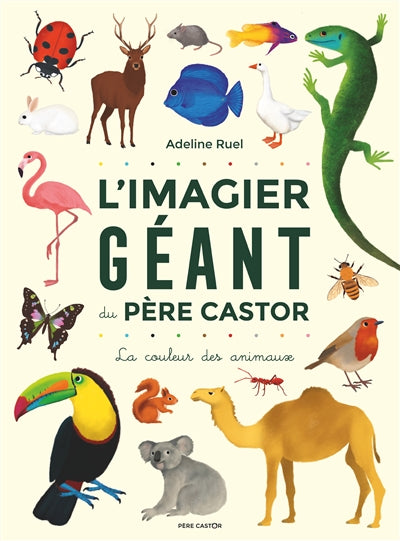 IMAGIER GEANT DU PERE CASTOR : LA COULEUR DES ANIMAUX