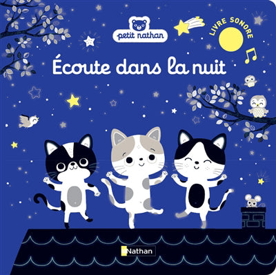 ÉCOUTE DANS LA NUIT (LIVRE SONORE)