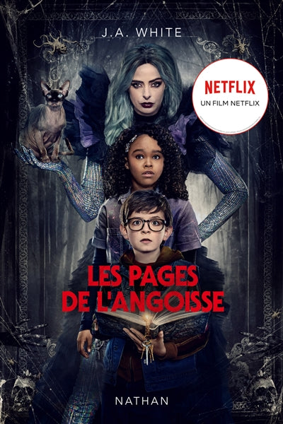 PAGES DE L'ANGOISSE  NETFLIX (OTAGE DE LA NUIT)
