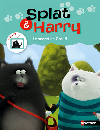 SPLAT ET HARRY T.07 : LE SECRET DE GROUFF