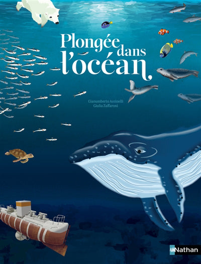 PLONGEE DANS L'OCEAN : UN VOYAGE SOUS-MARIN DE LA SURFACE AUX ABY