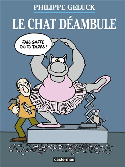 CHAT DEAMBULE