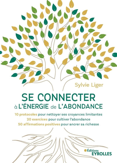 SE CONNECTER A L'ENERGIE DE L'ABONDANCE