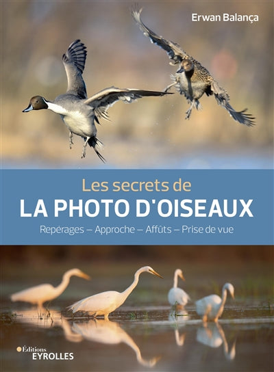SECRETS DE LA PHOTO D'OISEAUX