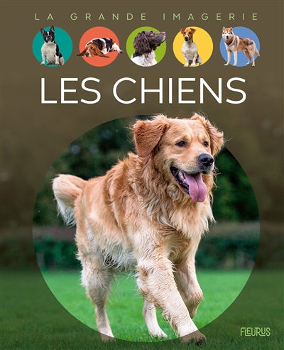 CHIENS  N.E.