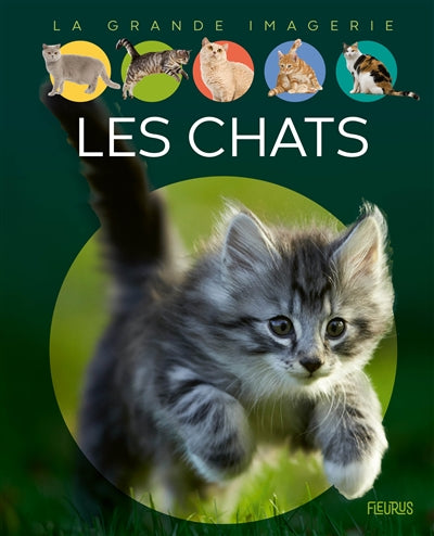 CHATS