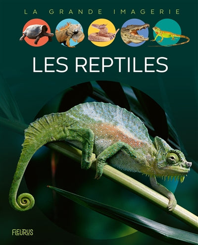 REPTILES  N.E.