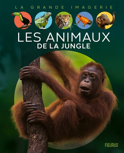 ANIMAUX DE LA JUNGLE  N.E.