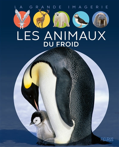 ANIMAUX DU FROID  N.E.