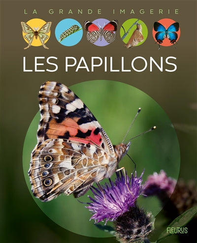 PAPILLONS N.E.