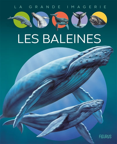 BALEINES  N.E.